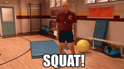 Gym Squat Fitness Exercise GIF