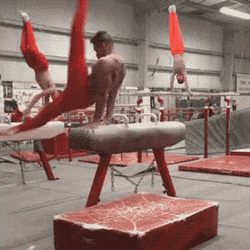 Gymnastics Pommel Horse GIF