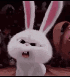 H Snowball Bunny Funny Expression Perplexed GIF