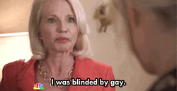 Ha Gay Chang I Was Blinded By Gay GIF
