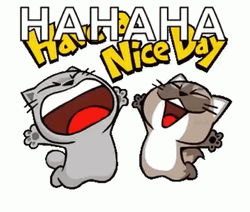 Ha Ha Cute Cat Punch GIF