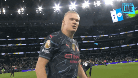 Haaland Erling Haaland GIF