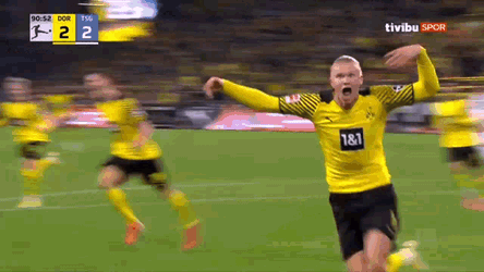 Haaland Erling Haaland GIF