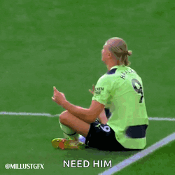 Haaland Erling Haaland GIF