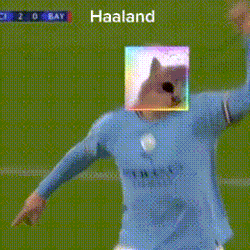 Haaland Jamcat GIF