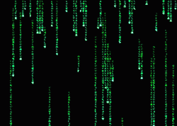 Hacker Im In Matrix Computer Program GIF