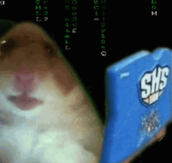 Hacking Screen Hamster SHS GIF