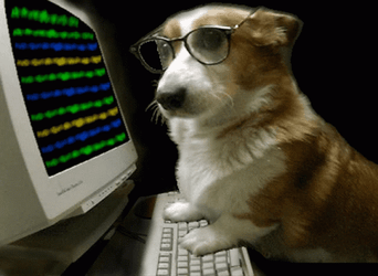 Hacking Screen Puppy Hacker GIF