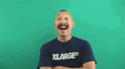 Haha No Not Funny GIF