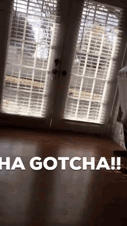 Hahaha Gotcha GIF