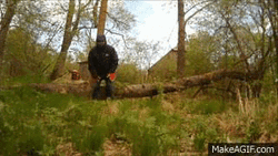 Hahaha Log Break GIF