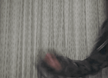 Hailee Steinfeld Counting GIF