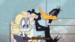 Hair Dresser Daffy Duck GIF