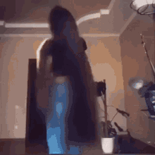 Hair Flip Long Hair Cat GIF
