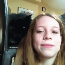 Hair Pull Cat Eats My Hair GIF