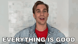 Hair Stylist Brad Mondo Everything Is Fine GIF