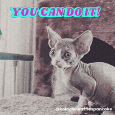 Hairless Cat Saying You Can Do It GIF