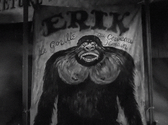 Hairy Gorilla Poster GIF