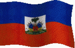 Haiti Flag 3d Pixel Cartoon