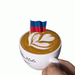 Haiti Flag On Cappuccino GIF