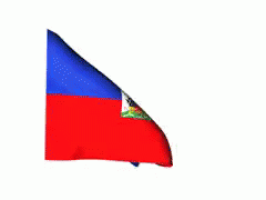 Haiti Flag Waving