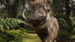 Hakuna Matata Wild Boar Pumbaa Strolling GIF