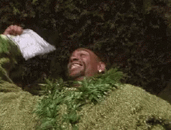Half Baked Dave Chapelle Celebrating GIF