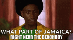 Half Baked Dave Chapelle Near Beachboy Meme GIF