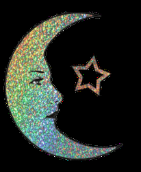 Half Moon Star Glitter