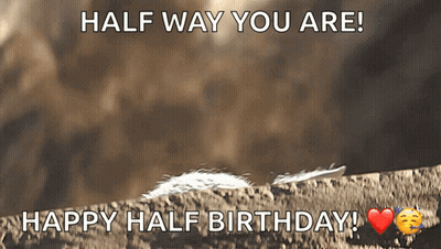 Half Way You Are Happy Half Birthday Greeting GIF