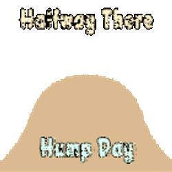 Halfway There Hump Day Wednesday Is Hump Day Sticker GIF