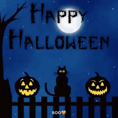 Halloween Card Black Cat Pumpkins Witch On Broom GIF