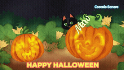 Halloween Greeting Card With Black Cat And Pumpkins GIF