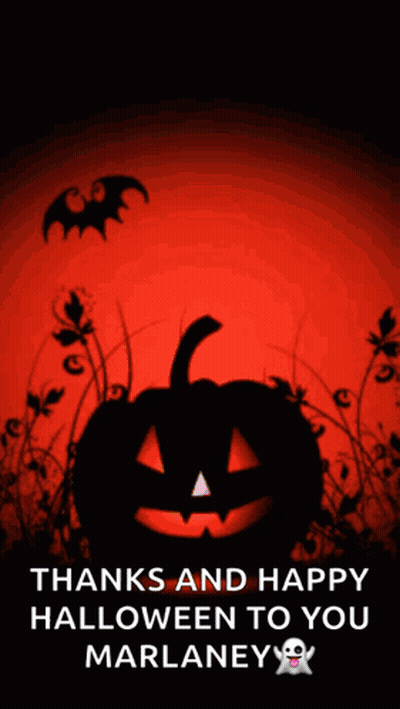 Halloween Greeting Card With Pumpkin And Bats GIF