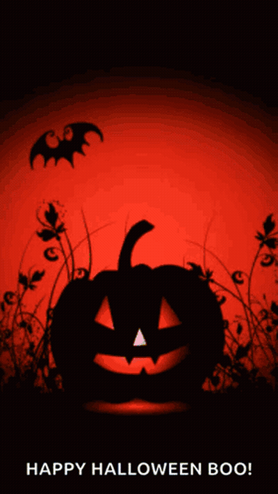 Halloween Greeting Card With Pumpkin And Bats GIF