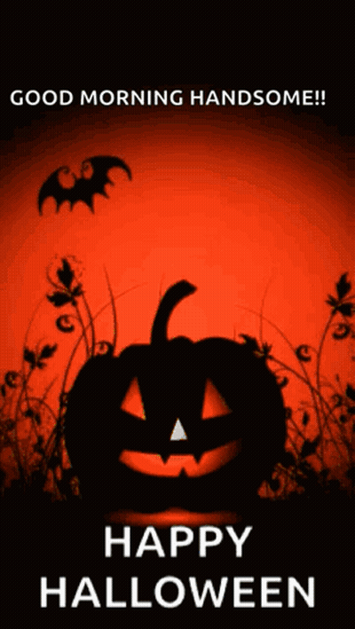 Halloween Greeting Card With Pumpkin And Bats GIF