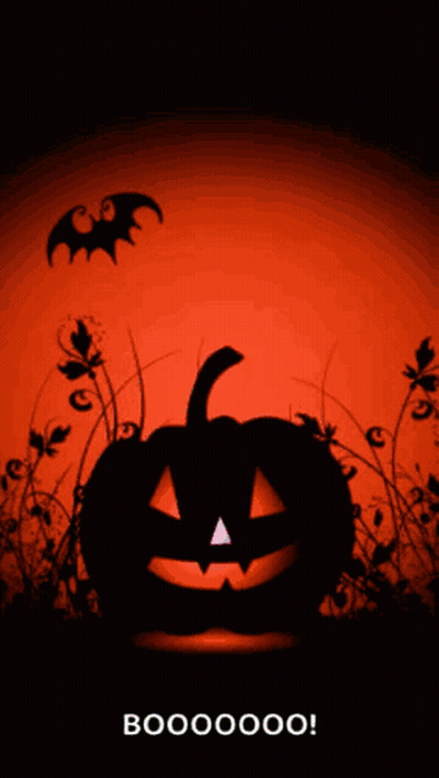 Halloween Greeting Card With Pumpkin And Bats GIF