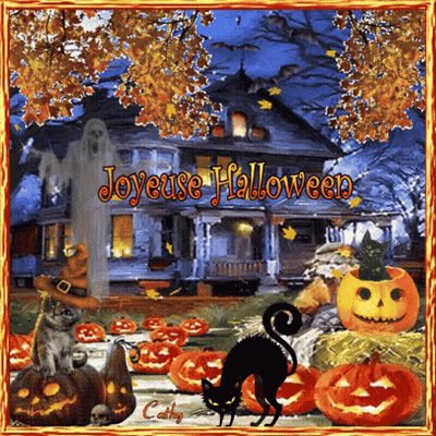 Halloween Greeting Card With Pumpkins And Cat GIF