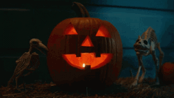 Halloween Kills Jack O' Lantern GIF