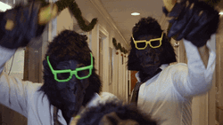 Halloween Monkey Dance Business GIF