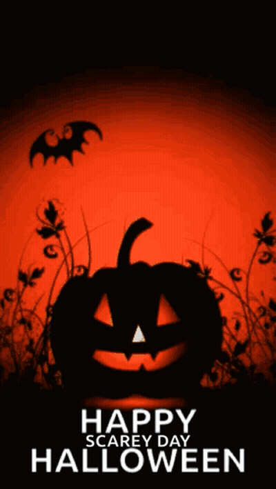 Halloween Poster With Pumpkin And Bats GIF