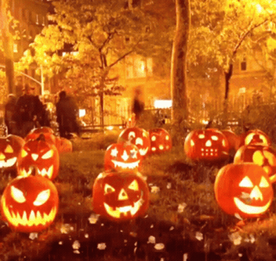 Halloween Pumpkins Lit Up In A Park GIF