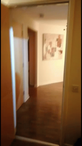 Hallway With Painting And Open Door GIF