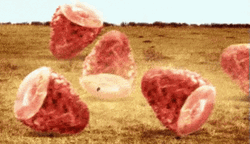 Ham Feast Rolling Over GIF