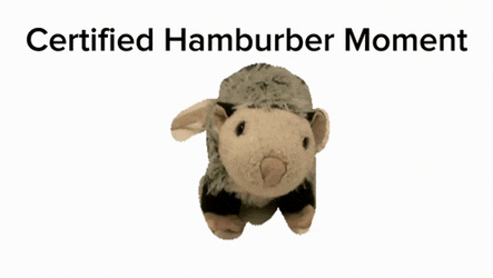 Hamburber Moment Scrunkly GIF