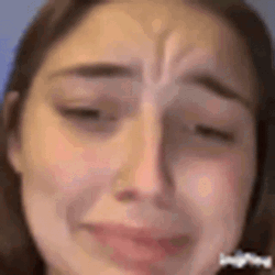 Hampter Meme As A Hanky GIF