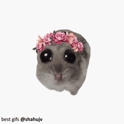 Hampter Meme Boba Eyes With Flower Crown GIF