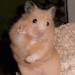 Hampter Meme Peace Sign Transition GIF