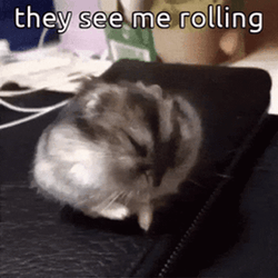 Hampter Meme They See Me Rolling GIF