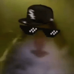 Hampter Meme Thug Life GIF